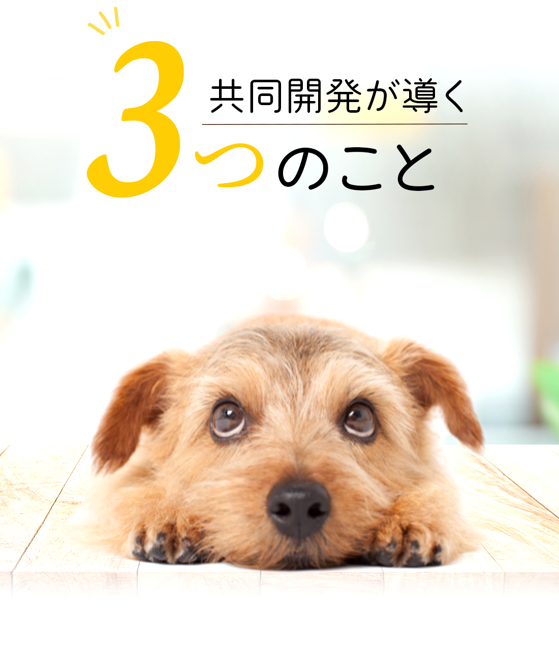 はぁとfull_SP_2412 ｜ PETs RECO